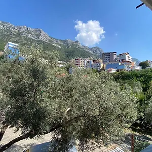 Meca Apartamento Krujë